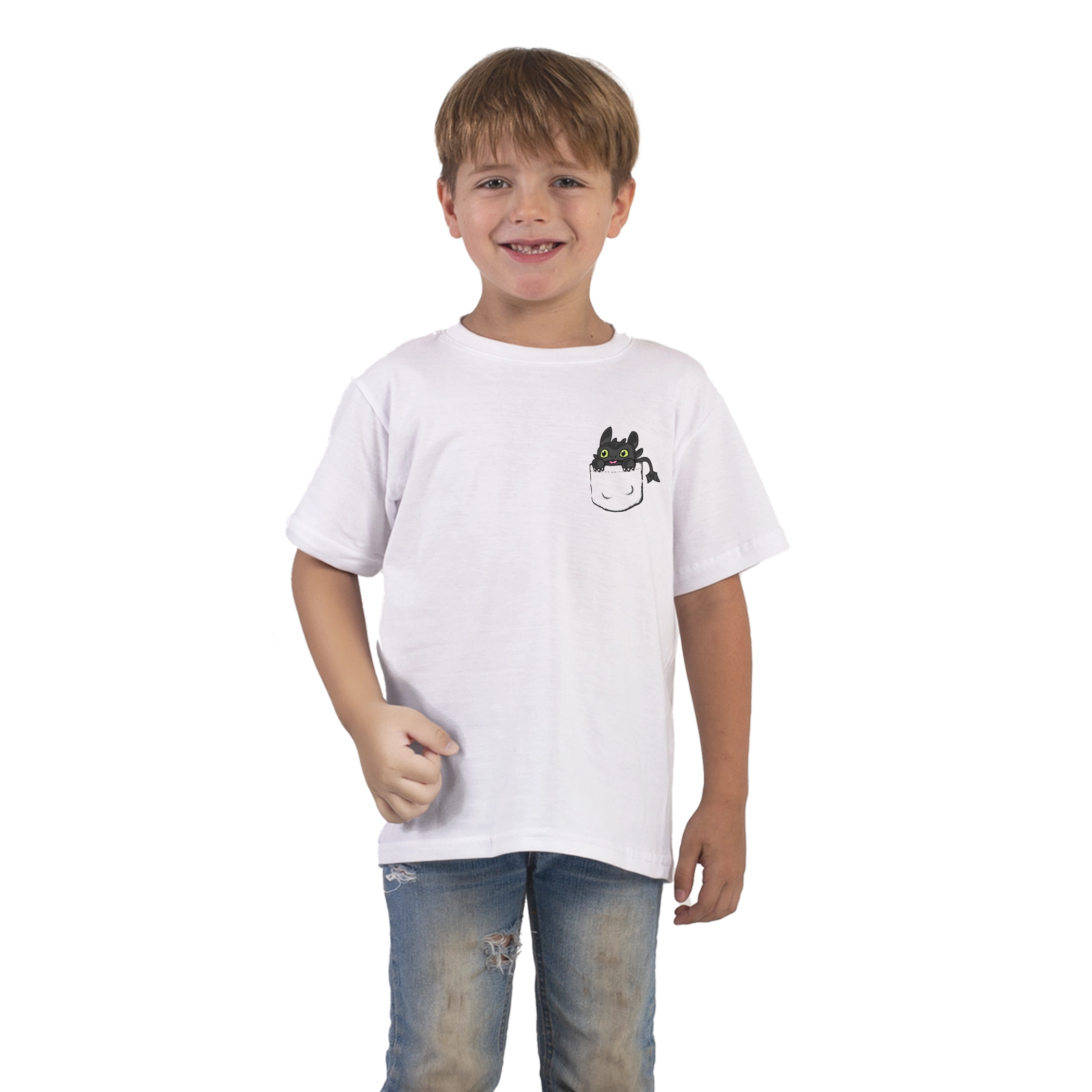 Remeras Infantiles Como entrenar a tu dragon